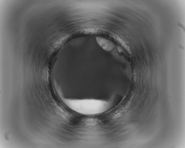 X0000098010637200804071329