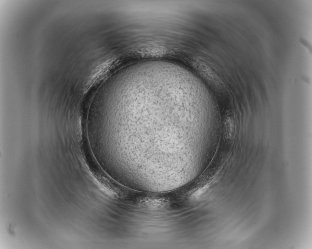 X0000098010638200804071329