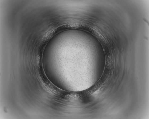 X0000098010639200804071329