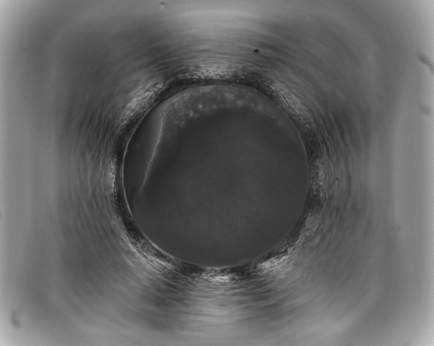 X0000098010640200804071329