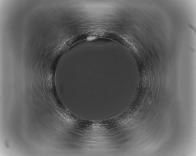 X0000098010641200804071329