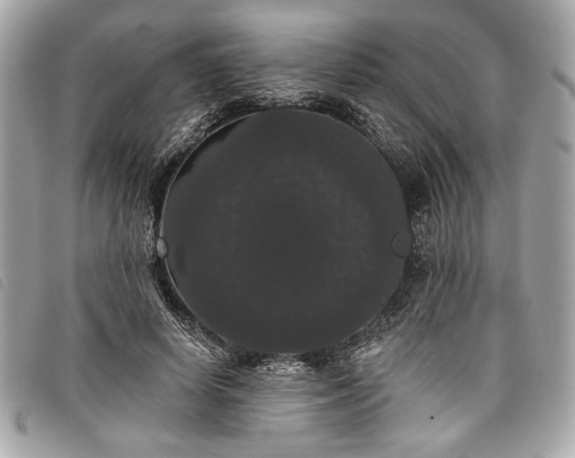 X0000098010642200804071329