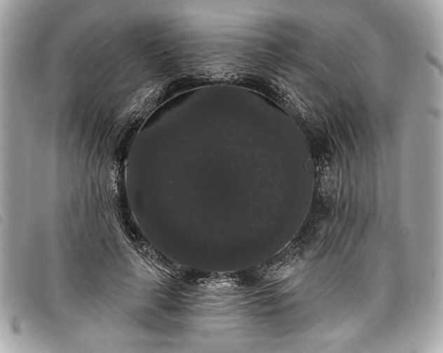 X0000098010643200804071329