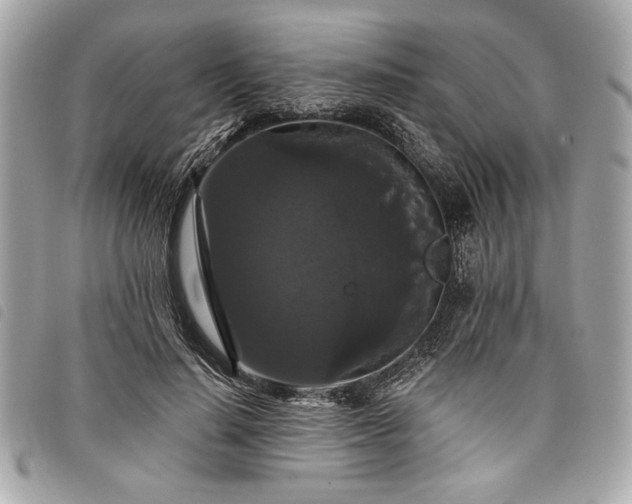 X0000098010644200804071329