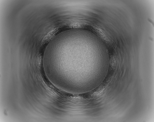 X0000098010645200804071329