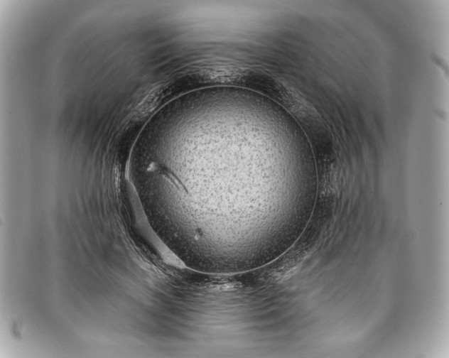 X0000098010646200804071329