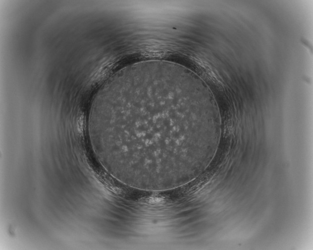 X0000098010647200804071329