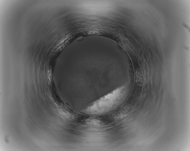 X0000098010648200804071329