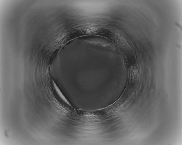 X0000098010650200804071329