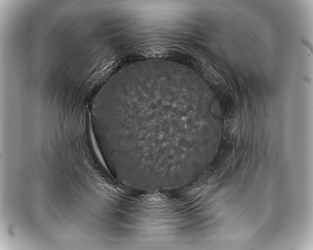 X0000098010652200804071329