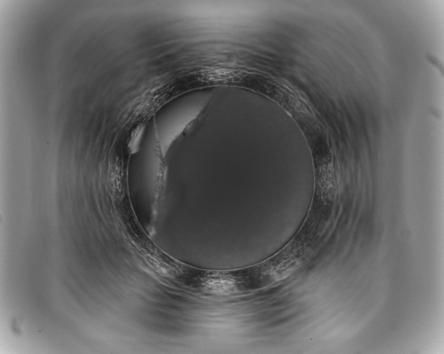 X0000098010653200804071329