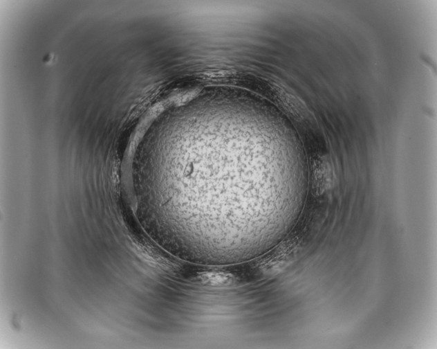 X0000098010654200804071329