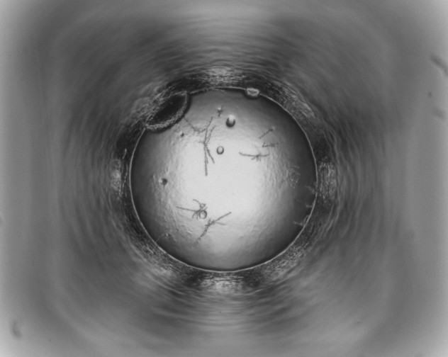 X0000098010655200804071329