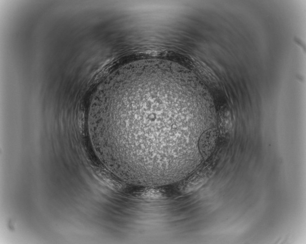 X0000098010656200804071329