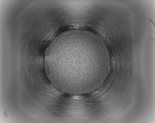 X0000098010657200804071329