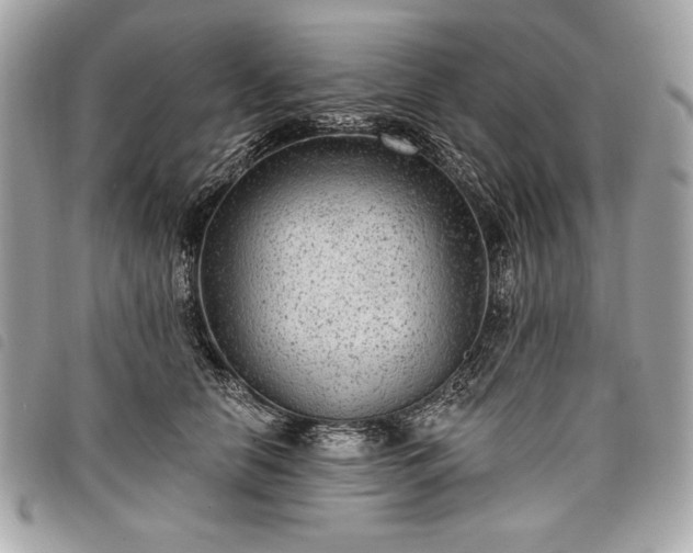 X0000098010658200804071329