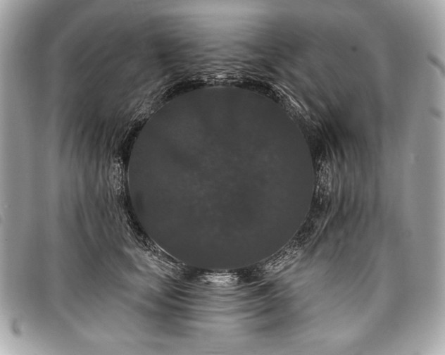 X0000098010659200804071329