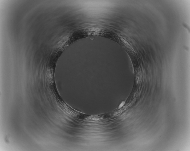 X0000098010661200804071329