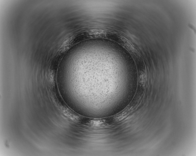 X0000098010662200804071329