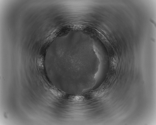 X0000098010663200804071329