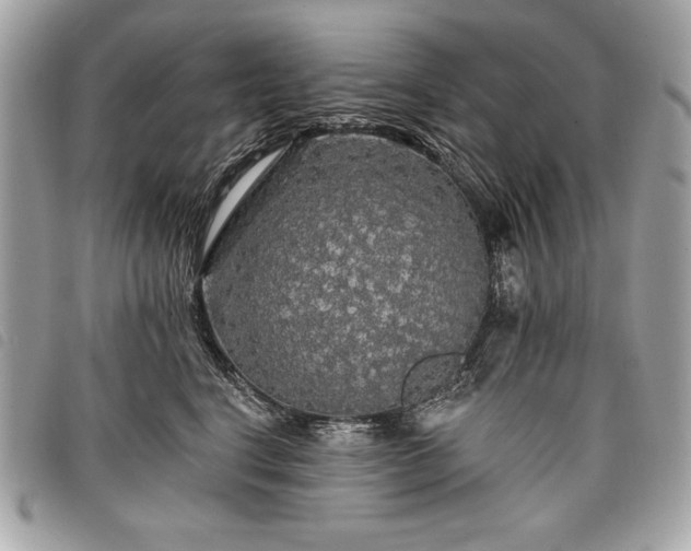 X0000098010664200804071329