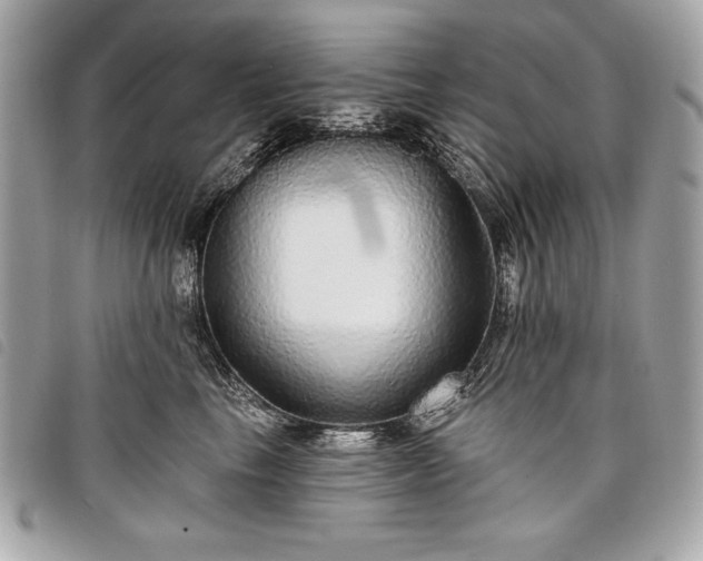 X0000098010665200804071329