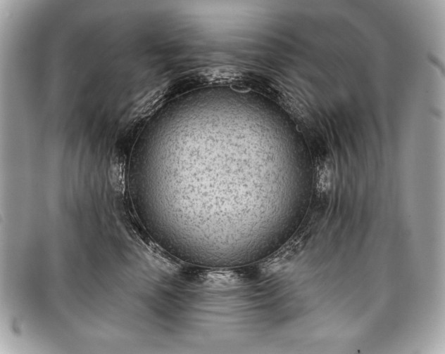 X0000098010666200804071329