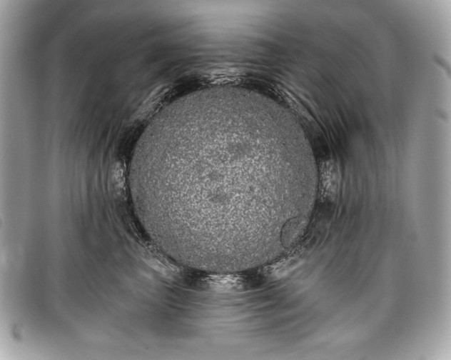 X0000098010667200804071329