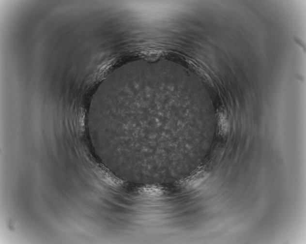 X0000098010668200804071329