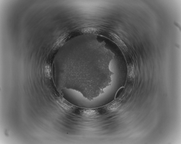 X0000098010669200804071329