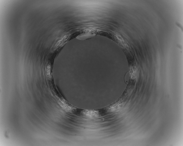 X0000098010670200804071329