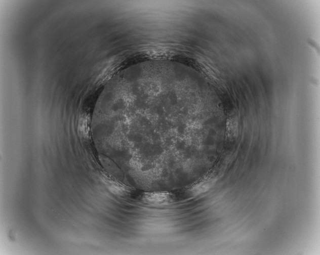 X0000098010671200804071329