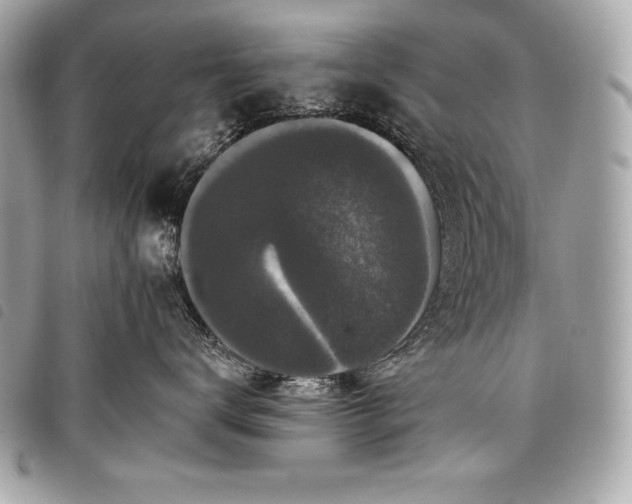 X0000098010672200804071329