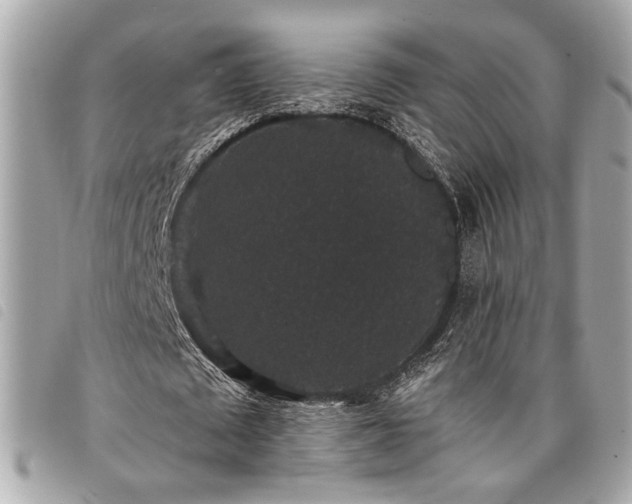 X0000098010673200804071328