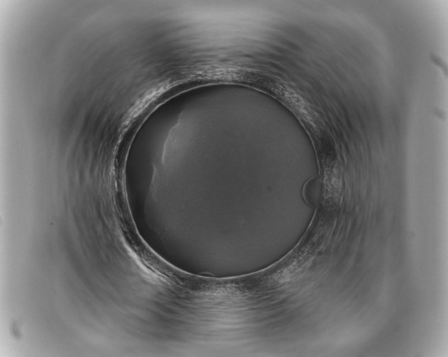 X0000098010674200804071328