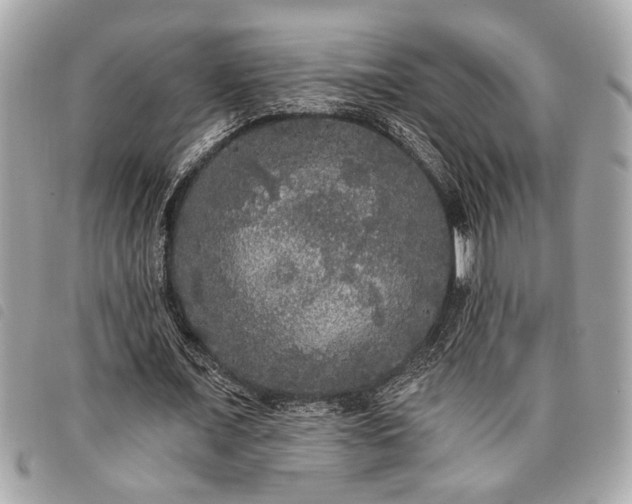 X0000098010675200804071328