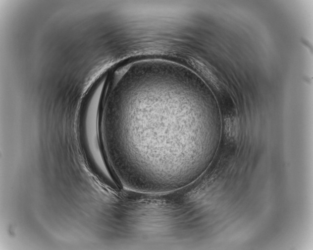 X0000098010676200804071328