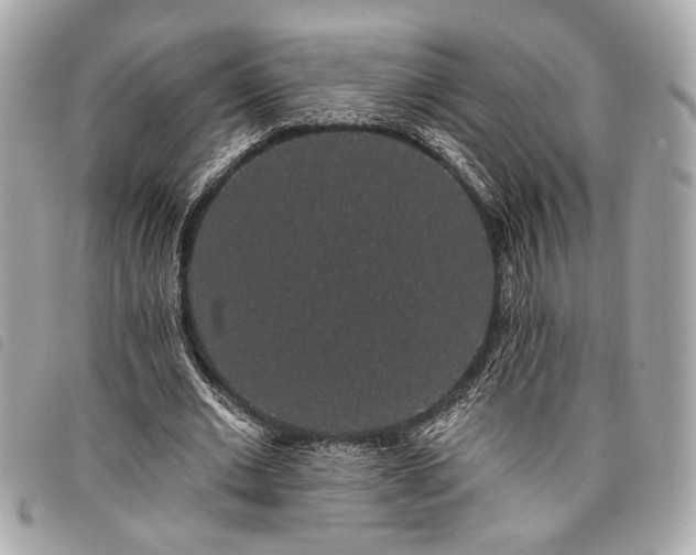 X0000098010677200804071328