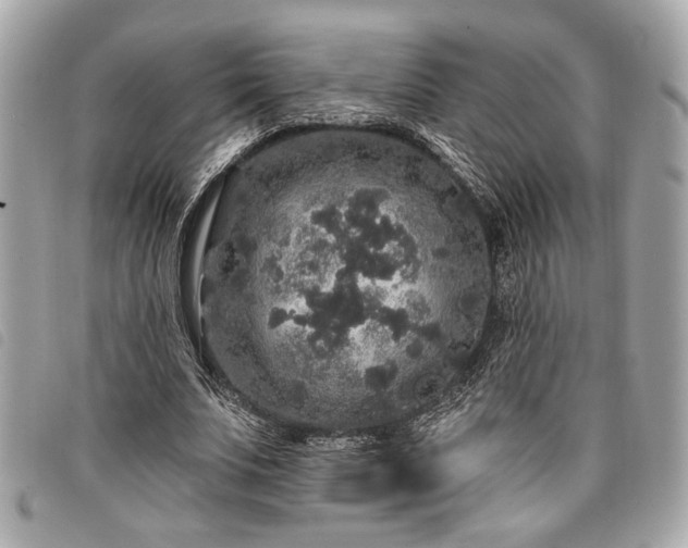 X0000098010679200804071328