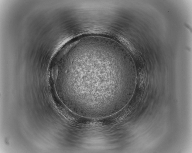 X0000098010680200804071328