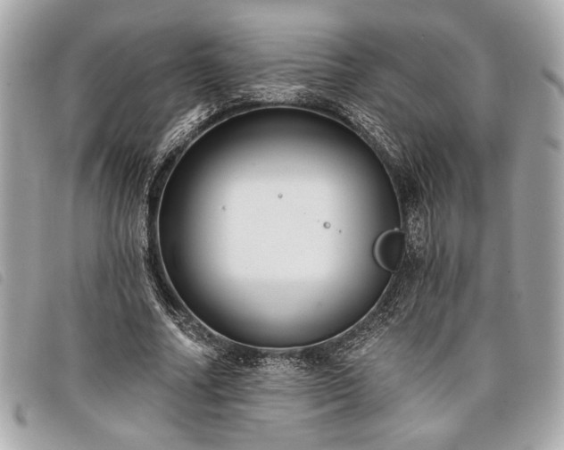 X0000098010682200804071328