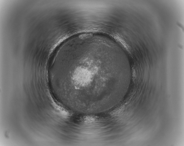 X0000098010684200804071328