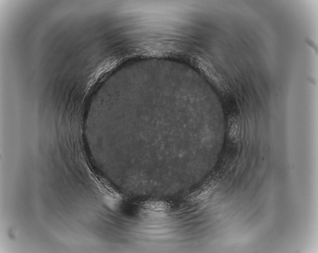 X0000098010685200804071328