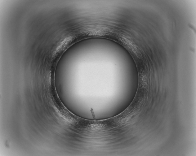 X0000098010686200804071328