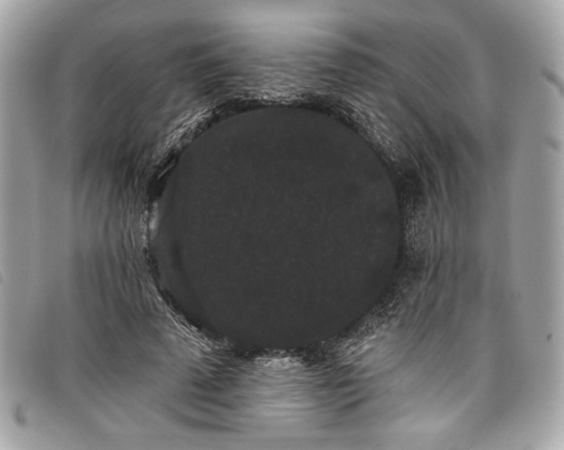 X0000098010689200804071328