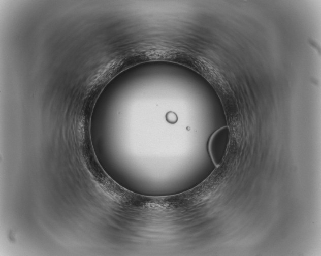 X0000098010690200804071328