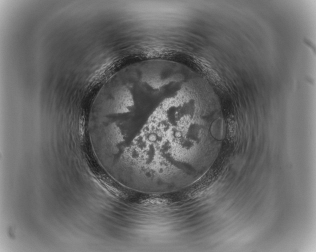 X0000098010691200804071328