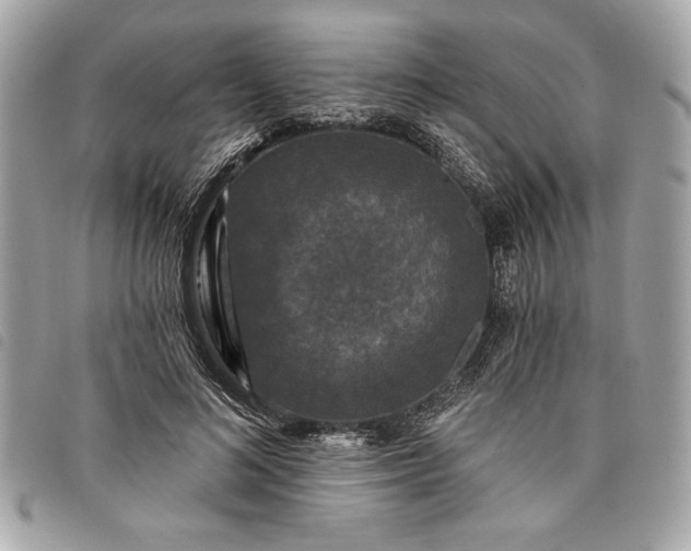 X0000098010692200804071328