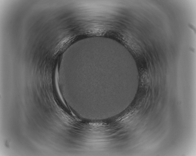 X0000098010693200804071328