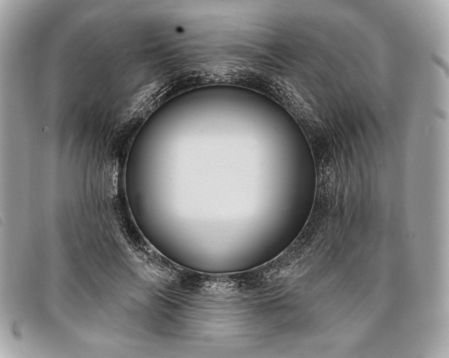 X0000098010694200804071328